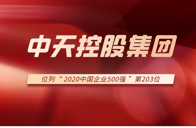 六合联盟集团列2020中国企业500强第203位！